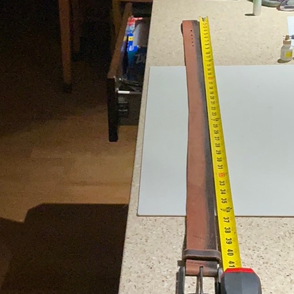 Fossil Belt - Picture 6 of 8